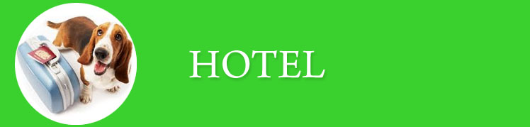 Hotel_Baner